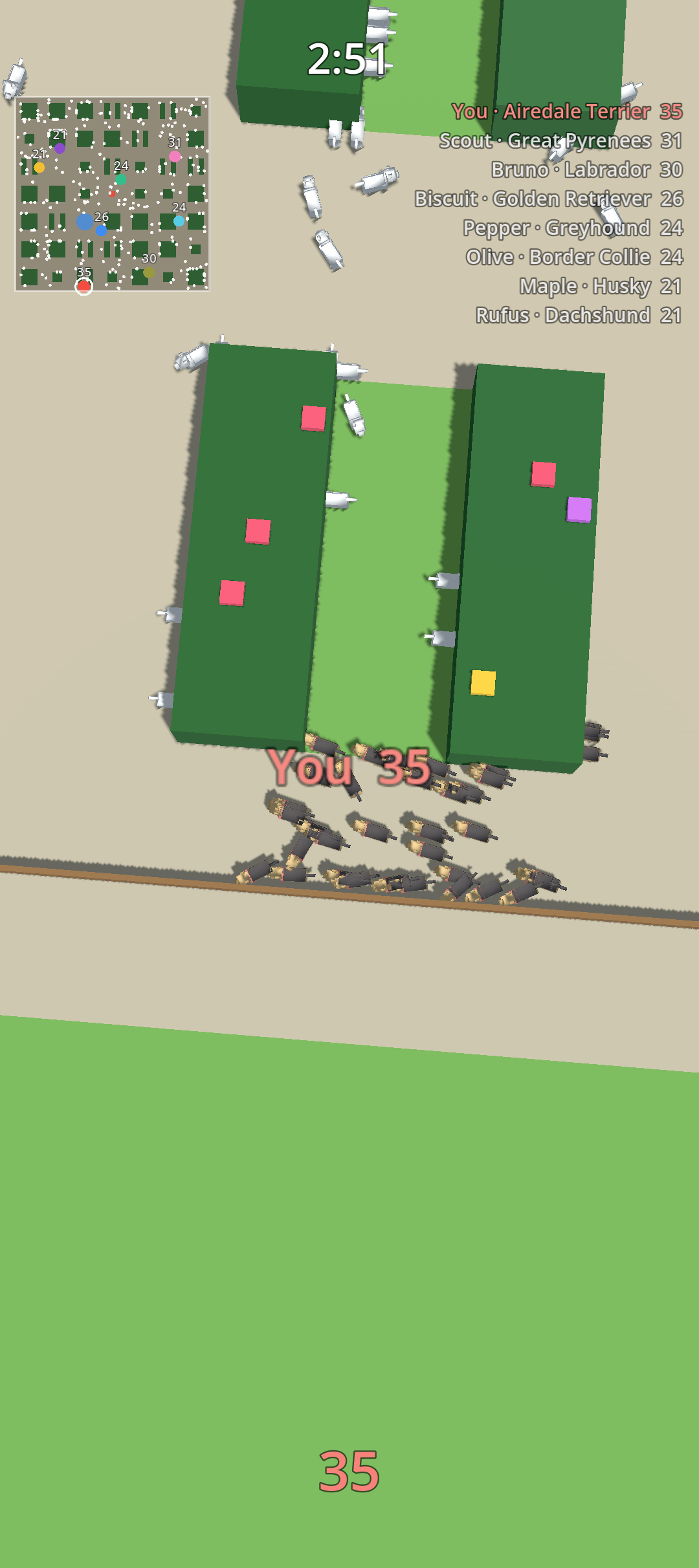 A pack running the lanes, white strays ahead